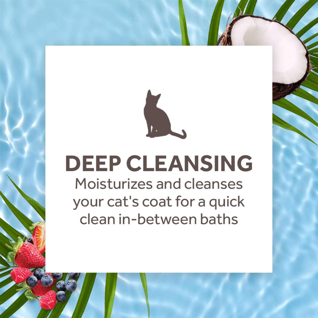 Waterless Deep Cleaning Cat Shampoo L531