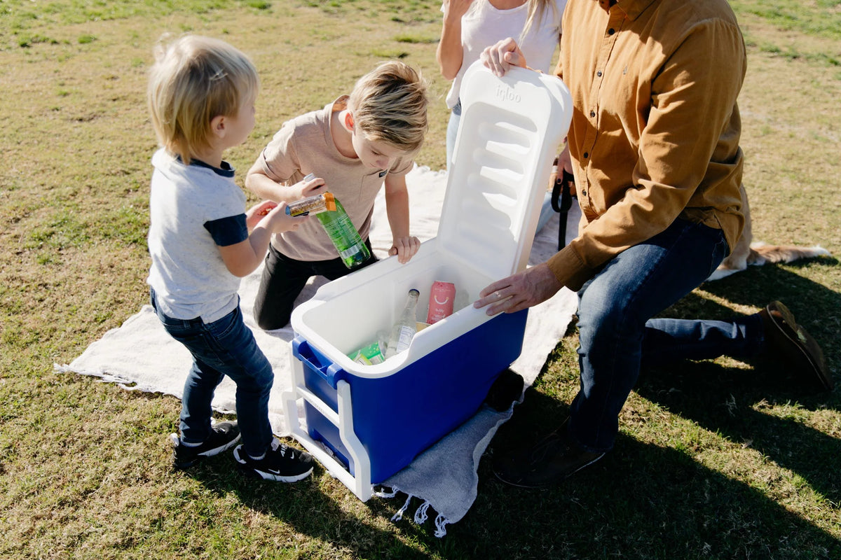 38 QT. Hard-Sided Ice Chest Cooler with Wheels, Blue U78128