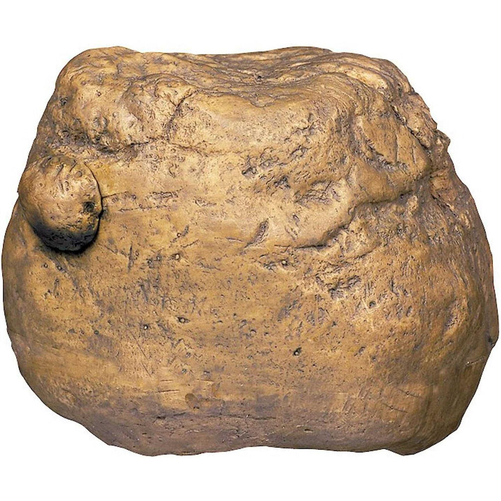 Feeding Rock Reptile Feeder I470