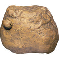 Feeding Rock Reptile Feeder I470