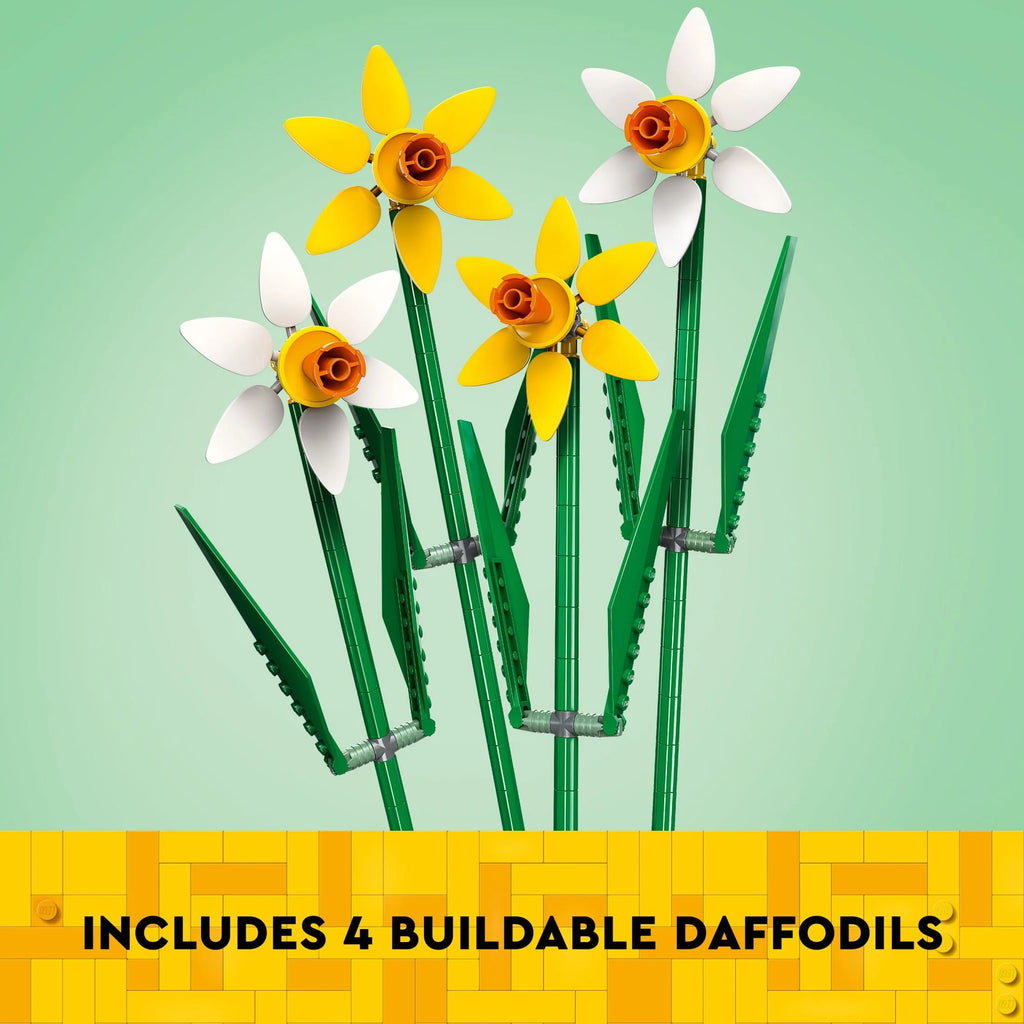 Yellow and White Daffodils C446955
