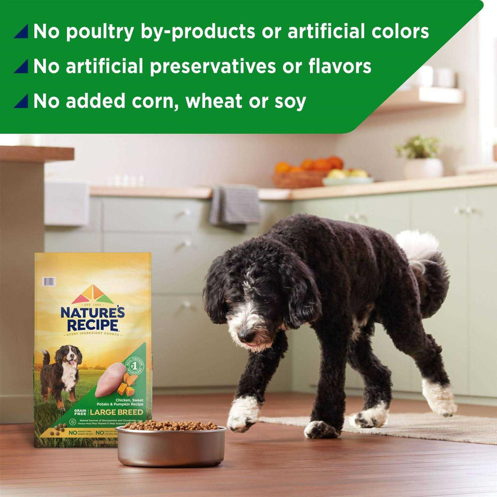 Large Breed Grain-Free Chicken Sweet Potato Pumpkin Dry Dog Food Y579709