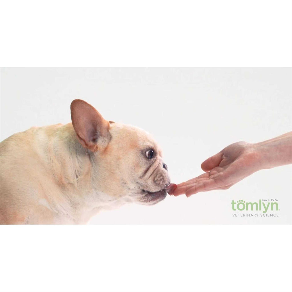 High Calorie Nutritional Gel for Dogs E59422