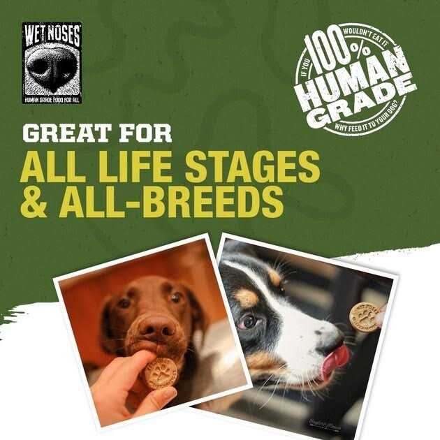 Grain Free Pumpkin Quinoa Dog Treats R2201