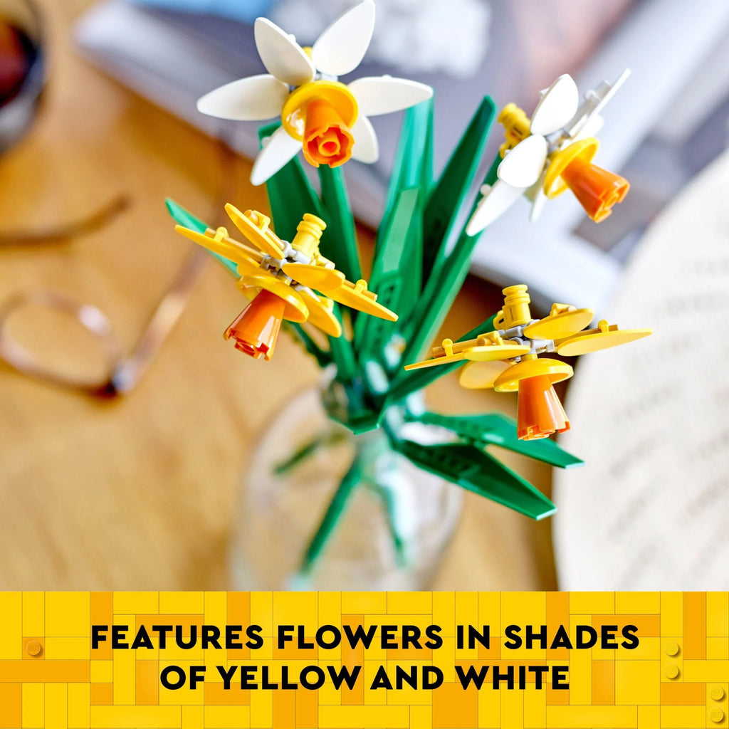 Yellow and White Daffodils C446955