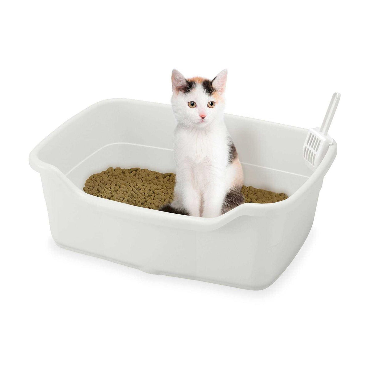 Wide Cat Litter Pan G4437