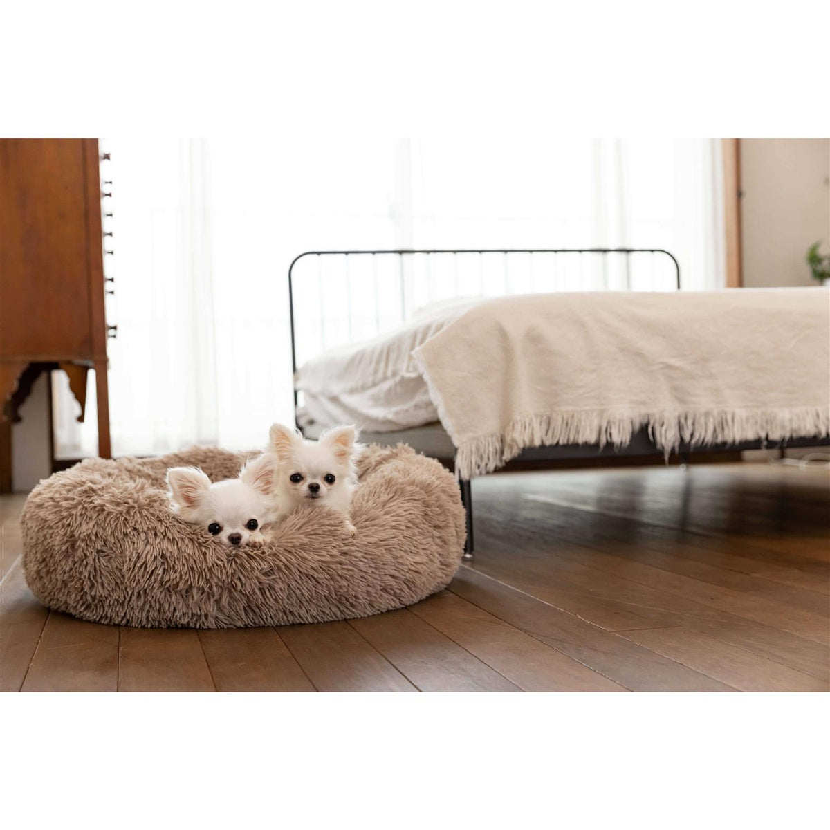 Cuddle Bed V346