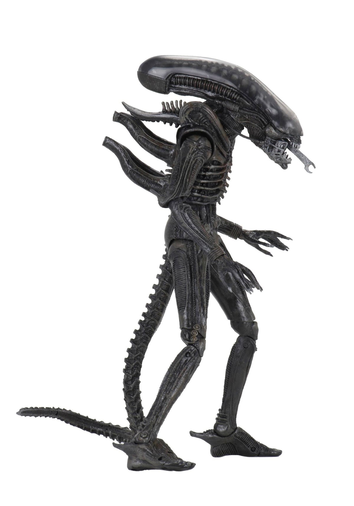 7" Action Figure H98470