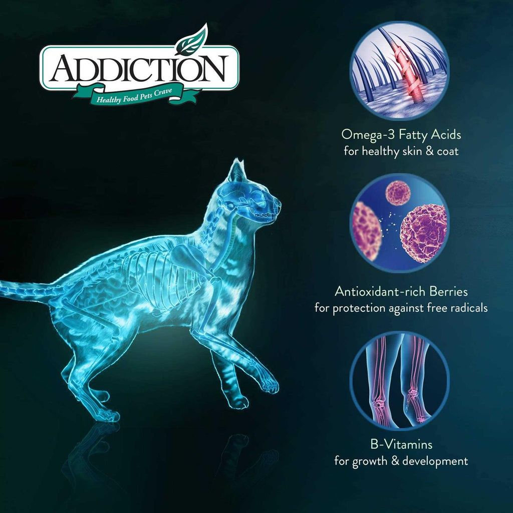Grain-Free Duck Dry Cat Food J84242