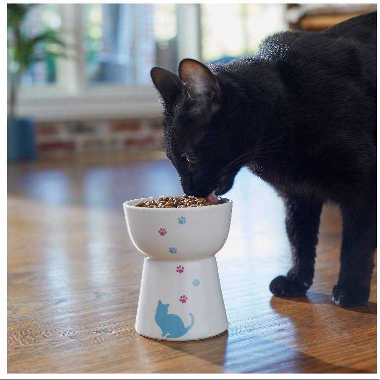 Elevated Cat Dish B641764