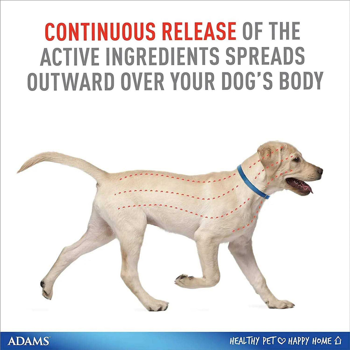 Flea & Tick Collar for Dogs L1042