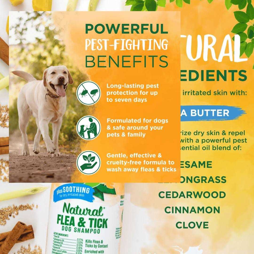 Natural Flea & Tick Soothing Shampoo J848