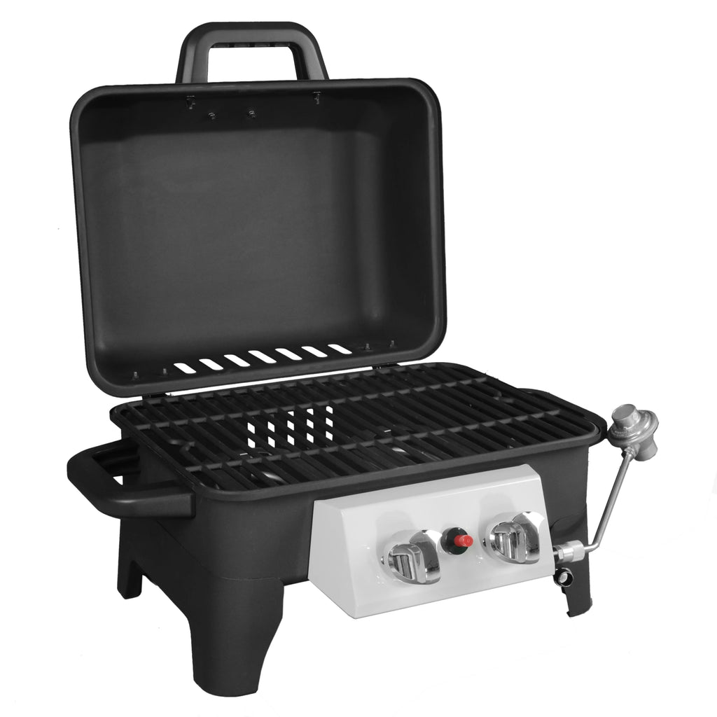 2 Burner Portable Propane Gas Grill B89125