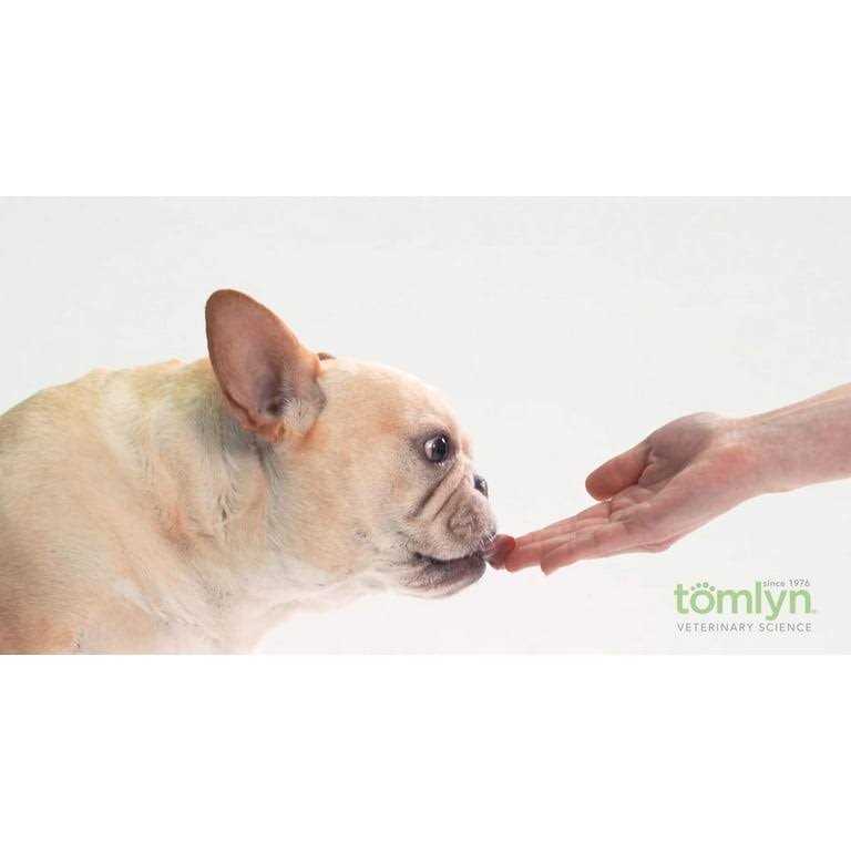 High Calorie Nutritional Gel for Dogs E59422