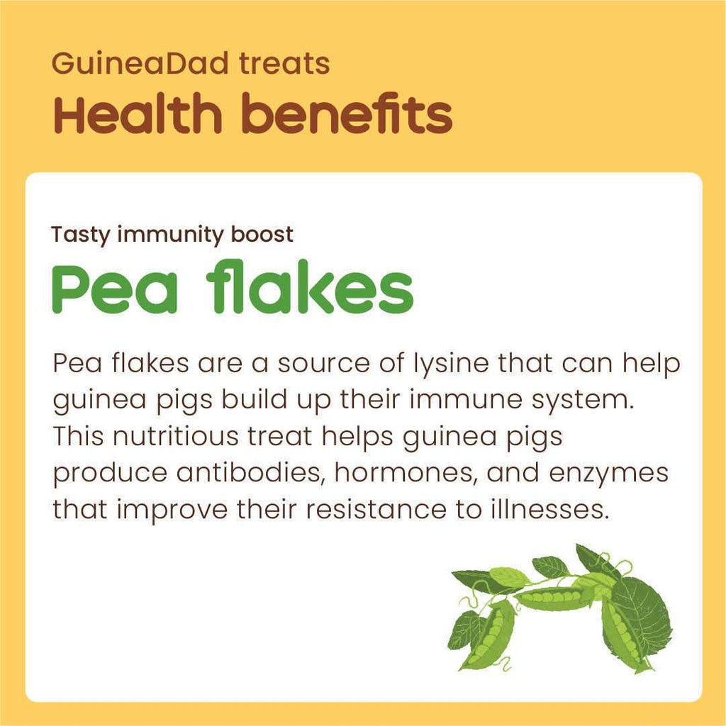 Guinea Pig Pea Flakes S68349