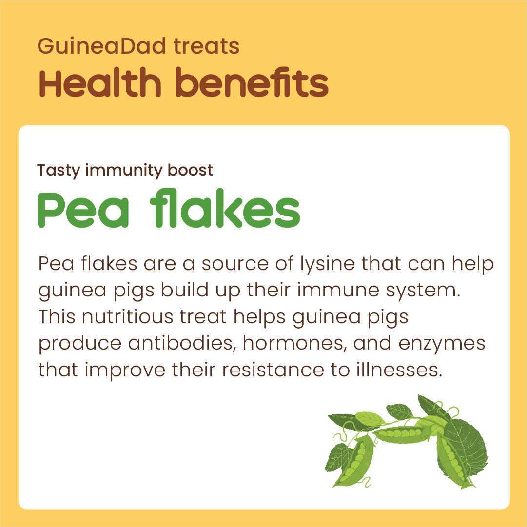 Guinea Pig Pea Flakes S68349