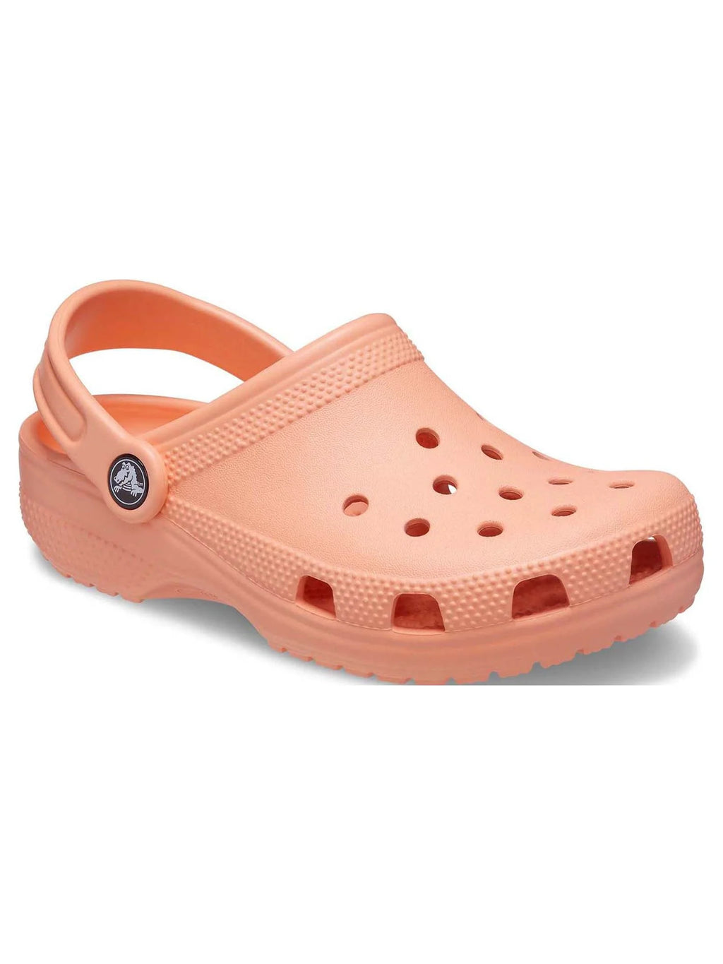 Toddler Kids Classic Clog H528378