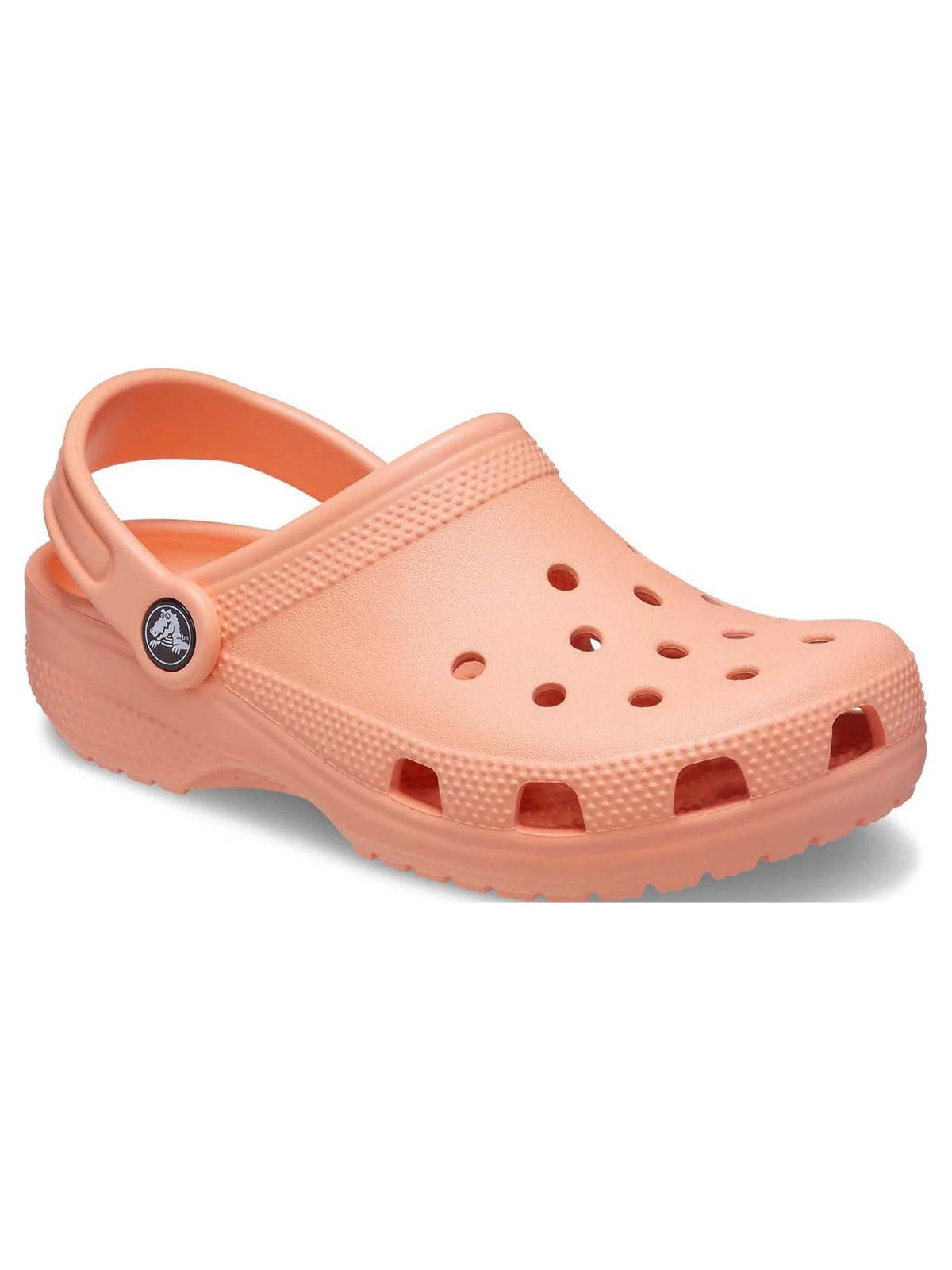 Toddler Kids Classic Clog H528378
