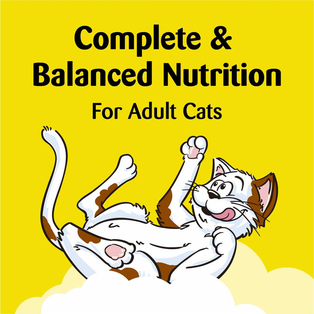 Soft & Crunchy Cat Treats S361563