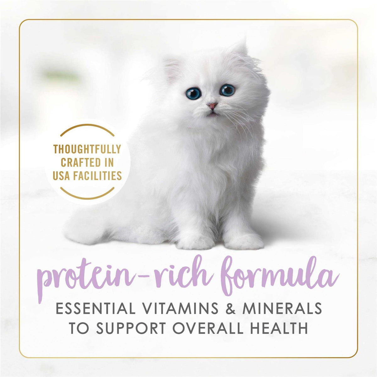 Grain Free Pate Wet Kitten Food T39251