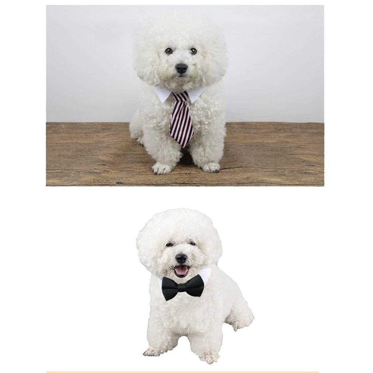 Adjustable Pet Bowtie Collar F973552