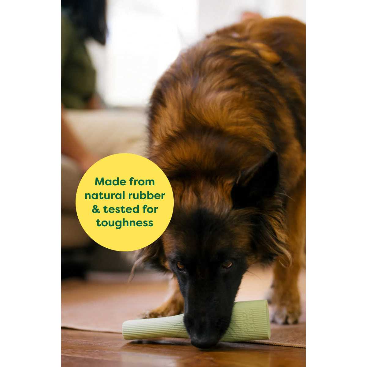 Rubber Chew Dog Toy B564654