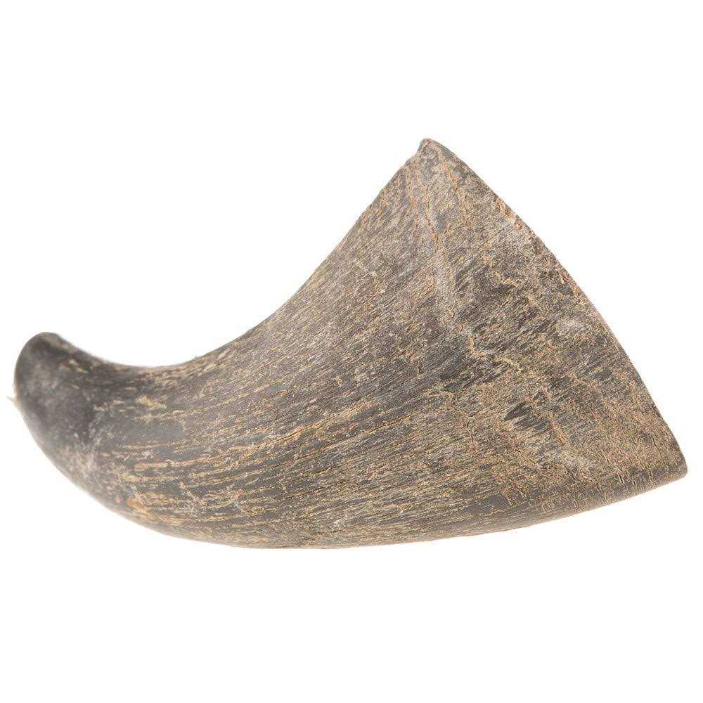 Dog Water Buffalo Horn Small D64813