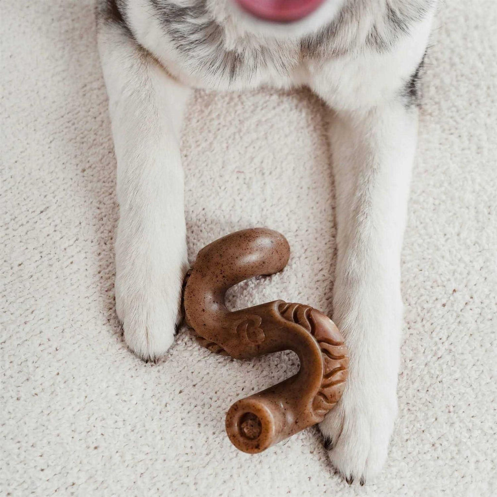 Dog Chew A764468