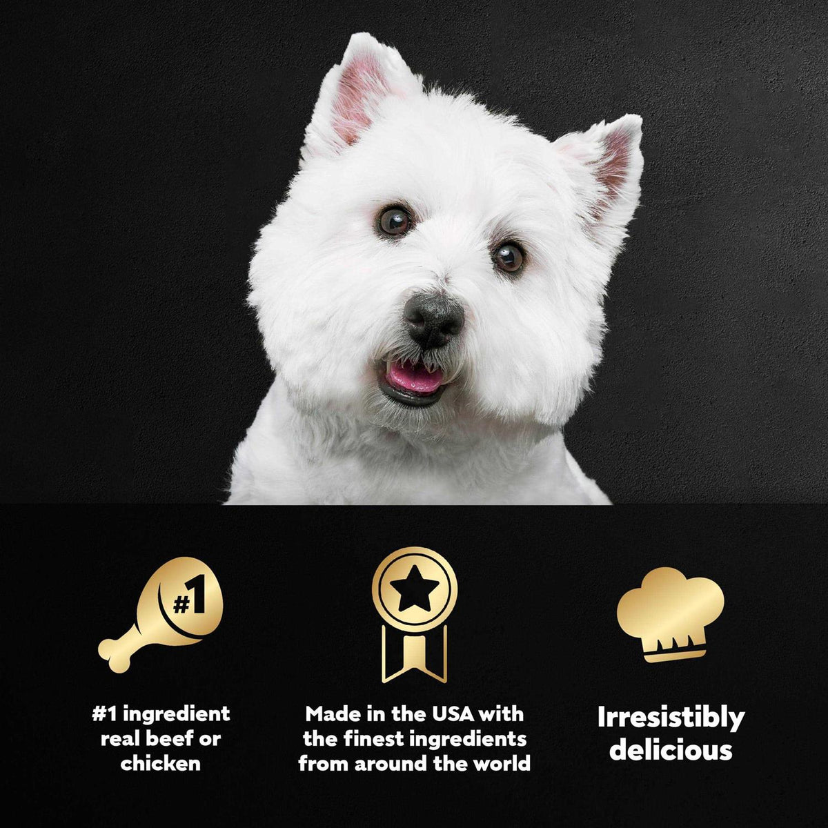 Wet Dog Food Variety Pack G76283