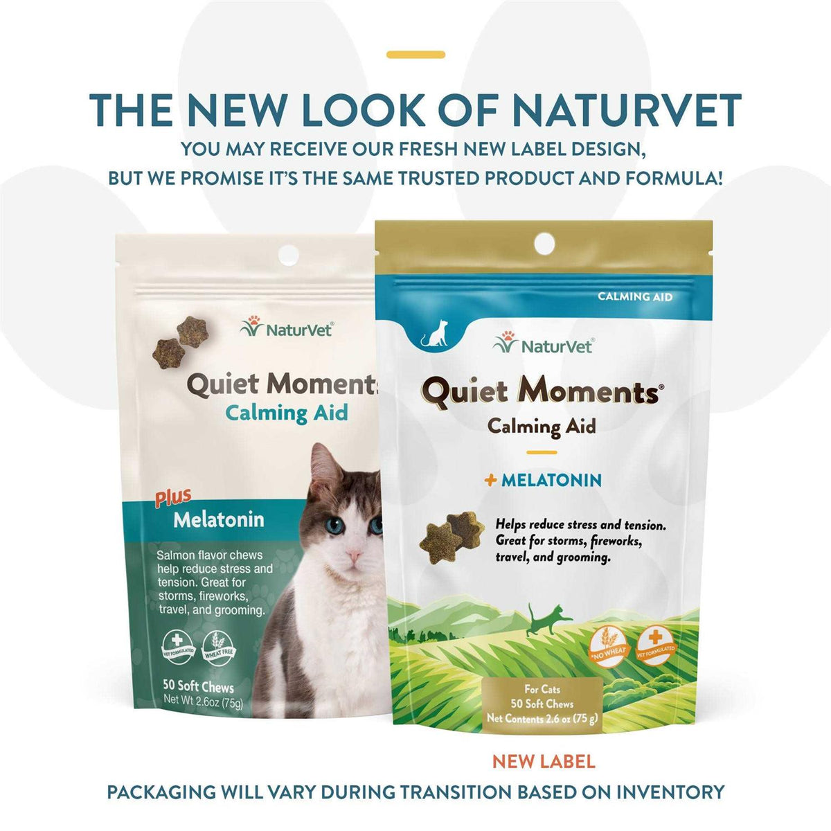 Calming Aid Plus Melatonin Soft Chews W900847