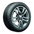 225/55-19 99 H Tire F855