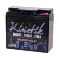 12 Volt Battery S31924