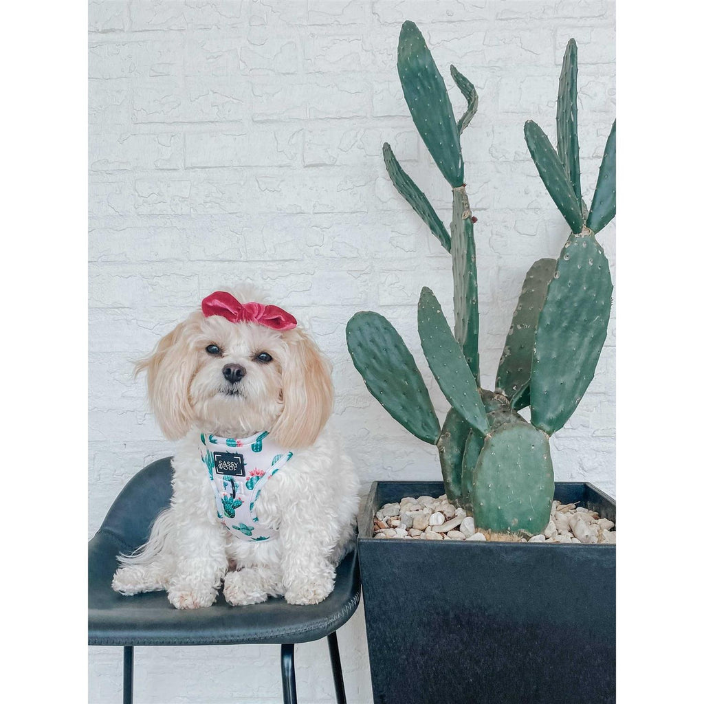 Adjustable Dog Harness B6840